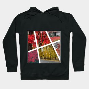 Fall Foliage Collage Hoodie